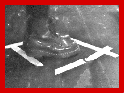 project logo